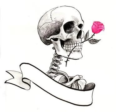 Skull and rose Illustrazione stock
