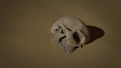 Skull and Sand Stock Footage 143165014