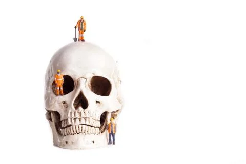 Skull and small workers Stock Photos