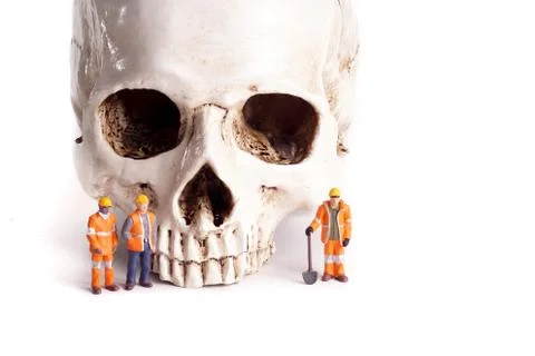 Skull and small workers Stock Photos