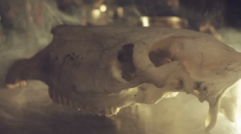 Skull and smoke Stock Footage 68753971
