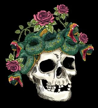 Skull and snake in the roses.vector design Stock Illustration