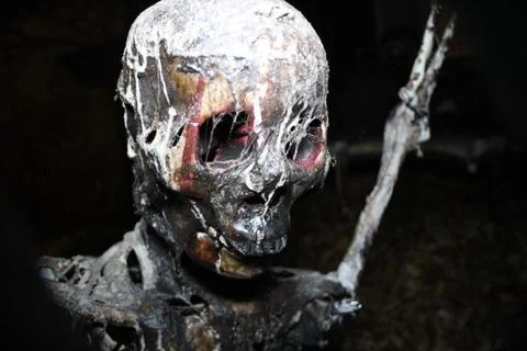 Skull and teeth Foto stock