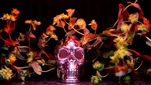 Skull and Vines Time-lapse Stock Footage 273822326
