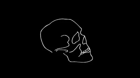 Skull animation flickering rotating Video stock 25259826
