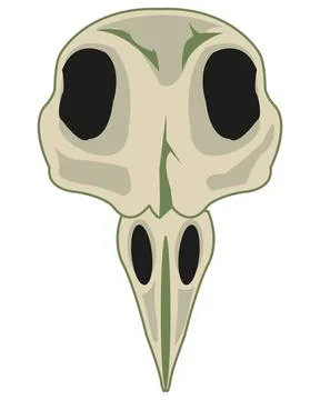 Skull of the bird with beak type frontal Stock Illustration