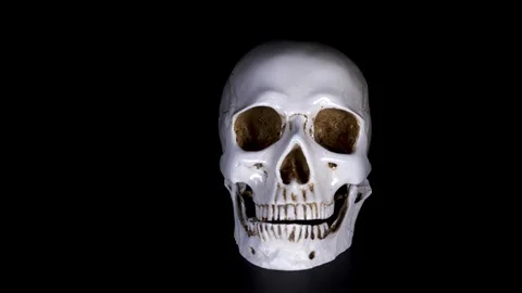 Skull on a black background. 4k, dolly shot, defocusing, blur. Stock Footage 90176797