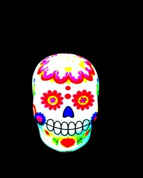 Skull on black background Stock Photos