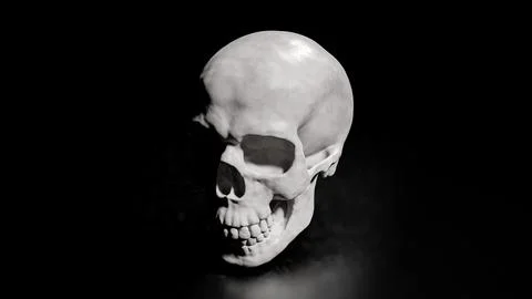 The Skull on Black Background for sci or medical concept 3d Rendering. Stock Illustration