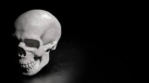 The Skull on Black Background for sci or medical concept 3d Rendering. Stock Illustration