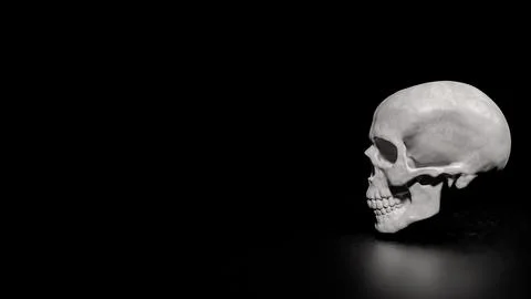 The Skull on Black Background for sci or medical concept 3d Rendering. Stock Illustration