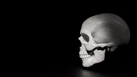 The Skull on Black Background for sci or medical concept 3d Rendering. Stock Illustration