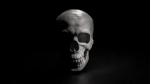 The Skull on Black Background for sci or medical concept 3d Rendering. Stock Illustration