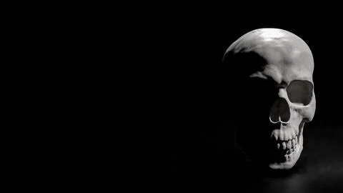 The Skull on Black Background for sci or medical concept 3d Rendering. Stock Photos