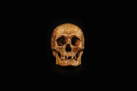 Skull in black center isolated Stock Photos