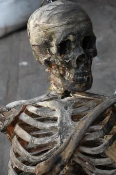 Skull Black magic Stockfoto's