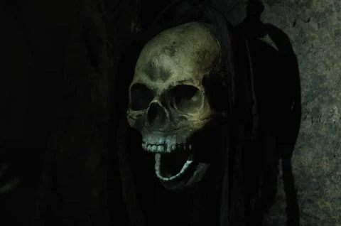 Skull Black magic Fotos Stock