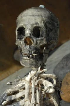 Skull Black magic 스톡 사진