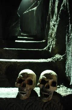 Skull Black magic Stock Photos