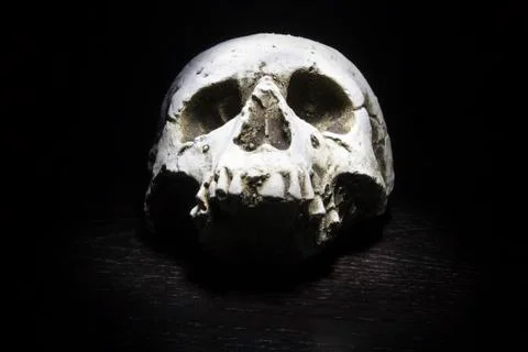 Skull on black Stock Photos