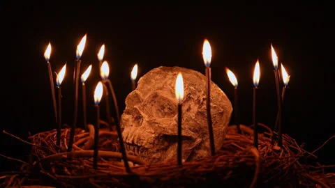 Skull with black witchcraft candles surrounded and tree twigs Stock Footage 345451192