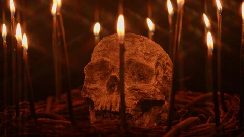 Skull with black witchcraft candles surrounded and tree twigs Stock Footage 345456420