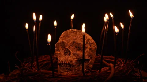 Skull with black witchcraft candles surrounded and tree twigs Stock Footage 345456433