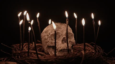 Skull with black witchcraft candles surrounded and tree twigs Stock Footage 345456456