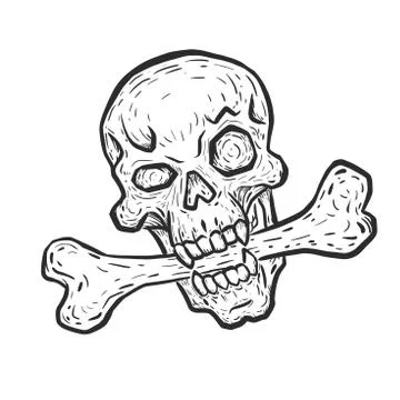Skull with bone Stockillustratie