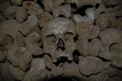 Skull with bones. Foto stock