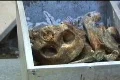 Skull, bones, voodoo in cemetery 9/12 Footage