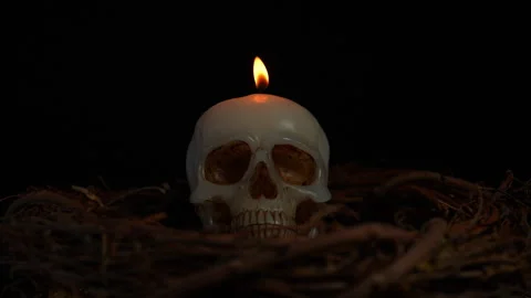 Skull candle surrounded with forest trees twigs and black background slow m.. Stock Footage 345451157