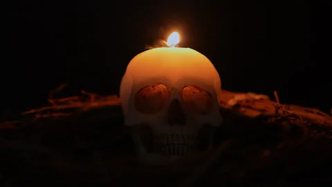Skull candle surrounded with forest trees twigs and black background slow m.. Stock Footage 345456358