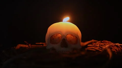 Skull candle surrounded with forest trees twigs and black background slow m.. Stock Footage 345456365