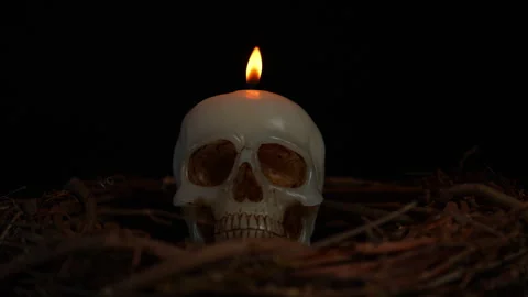 Skull candle surrounded with forest trees twigs and black background slow m.. Stock Footage 345456384