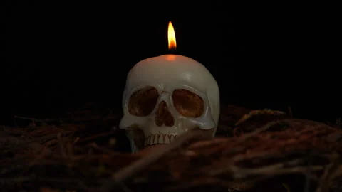 Skull candle surrounded with forest trees twigs and black background slow m.. Stock Footage 345456387