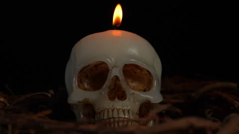 Skull candle surrounded with forest trees twigs and black background slow m.. Stock Footage 345456501
