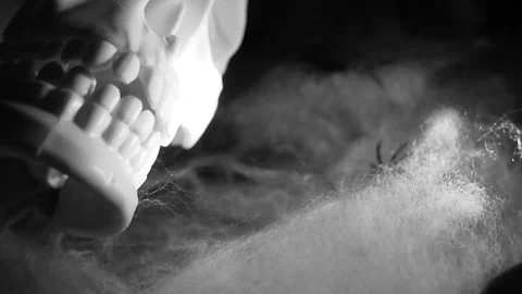 Skull clicks its teeth and moves its jaws. Skull skeleton Stock Footage 288126007
