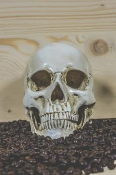 Skull with coffee beans Stock Photos