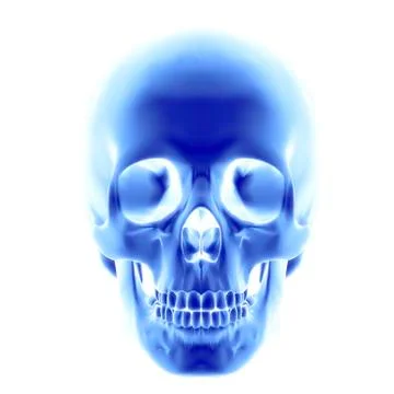 Skull, computer artwork Illustrazione stock