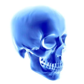 Skull, computer artwork Illustrazione stock