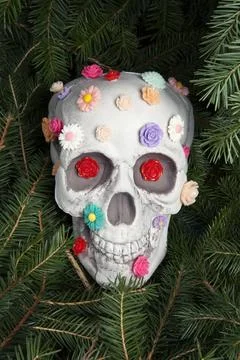 Skull covered with multiple plastic flowers in different colors Stock Photos