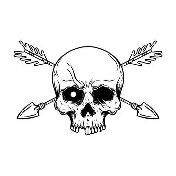 Skull with crossed arrows. Design element for poster, card, banner, emblem,.. Stock Illustration