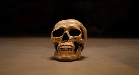 Skull dark bokeh background Video stock 125534063