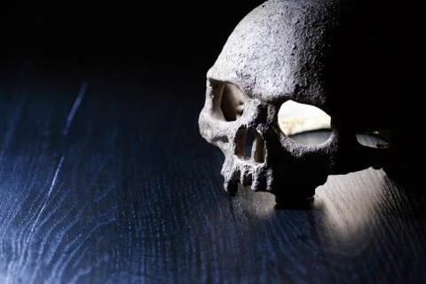 Skull On Dark Stock Photos