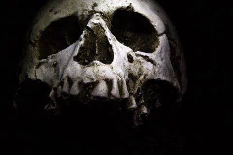Skull on dark Stock Photos