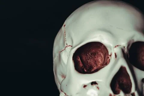 Skull in the dark Stock Photos