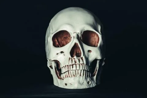 Skull in the dark Stock Photos