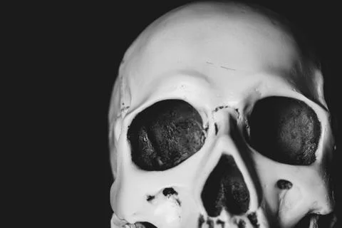 Skull in the dark Stock Photos