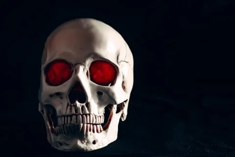 Skull in the dark Stock Photos